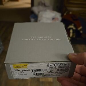 Gray Earbud Headphones